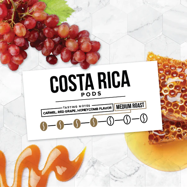 Costa Rica Coffee Pods - Image 3
